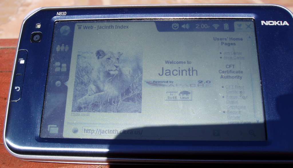 N810 in full sunlight